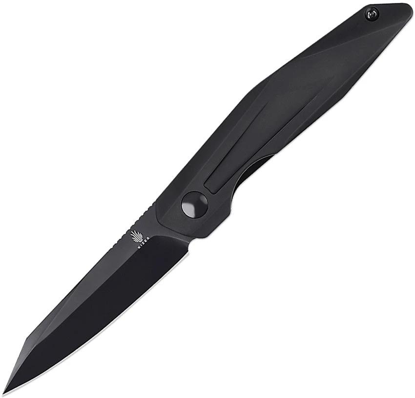 Kizer Cutlery Spot Linerlock Black V3620C2 by Kizer Cutlery