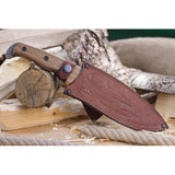 Kizlyar Shark Fixed Blade PGK Walnut KK0101 - Stonewashed PGK Steel, Full Tang, Lanyard Hole, Brown Leather Sheath by Kizlyar