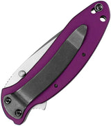 Kershaw Scallion Liner Lock Assisted Opening Purple Pocket Knife 1620PUR For Everyday Carry by Kershaw