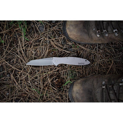 Kershaw Leek Framelock Assisted Opening 1660R EDC Knife With SpeedSafe Bead Blast 410 Stainless by Kershaw