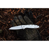 Kershaw Leek Framelock Assisted Opening 1660R EDC Knife With SpeedSafe Bead Blast 410 Stainless by Kershaw