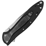 Kershaw Leek Linerlock Assisted Opening Knife SpeedSafe 3in Sandvik 14C28N Black EDC by Kershaw