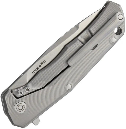 LionSTEEL TRE Titanium Framelock EDC Knife With M390 Blade Stonewashed Finish Gray Titanium Handle Premium Gift Box by LionSTEEL