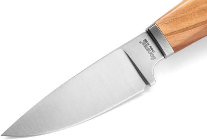 LionSTEEL Willy Fixed Blade Knife Olive Wood Handle M390 Steel Outdoor EDC for Hunters Premium by LionSTEEL