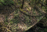 Mil-Tec Laser Cut Net - Durable 60x118 Camouflage Taslan Nylon Netting With Metal Eyelets For Easy Fastening by Mil-Tec
