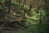 Mil-Tec Laser Cut Net - Durable 60x118 Camouflage Taslan Nylon Netting With Metal Eyelets For Easy Fastening by Mil-Tec