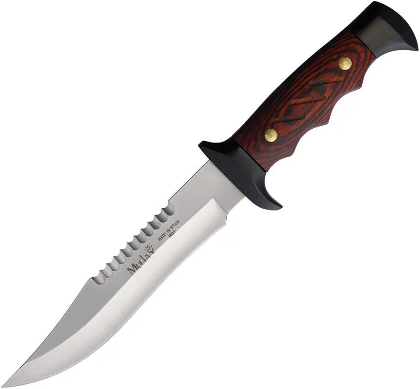 Muela Durable Fixed Blade Knife 5161M Hunter Sawback Clip Point 11 Inch Satin Stainless Wood Handle Leather Sheath by Muela