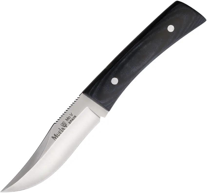 Muela Fixed Blade Knife Outdoors Full Tang Satin Clip Point by Muela