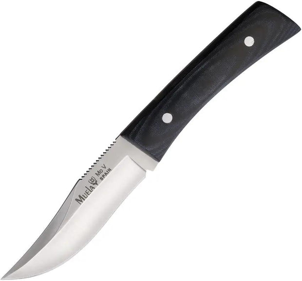 Muela Fixed Blade Knife Outdoors Full Tang Satin Clip Point by Muela