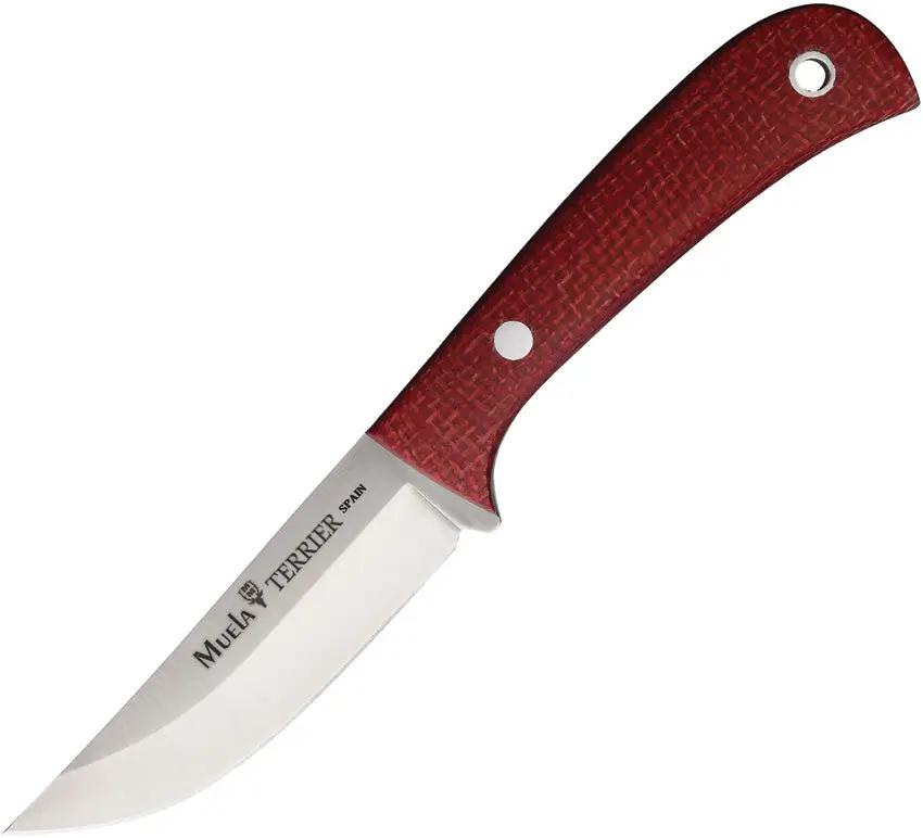 Muela Terrier Fixed Blade Knife Premium 3.5in Satin 14C28N Sandvik Blade Full Tang For Outdoor EDC by Muela