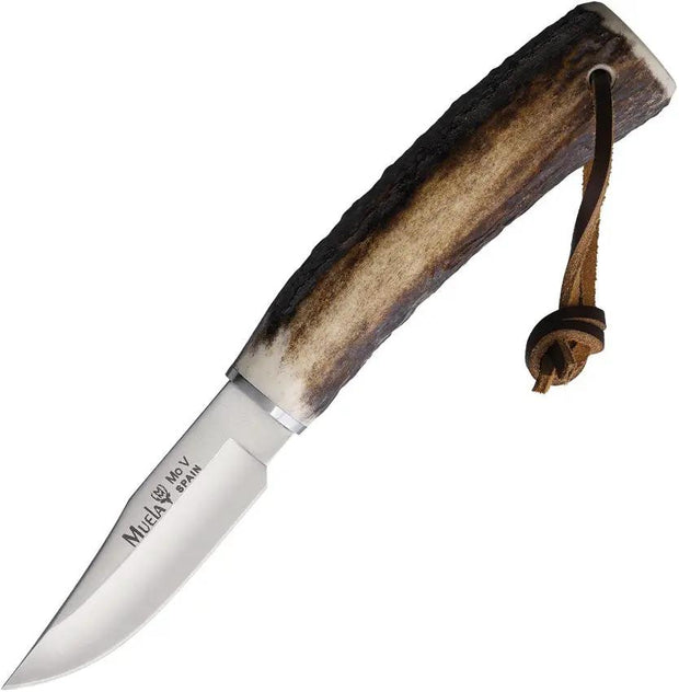 Muela Fixed Blade Knife Antler BW6A For Hunters Premium Rugged Deer Horn Handle 4 Inch by Muela