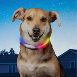 Nite Ize NiteHowl Safety Necklace LED for Dogs Rechargeable 360 Degree Glow Night Walks by Nite Ize