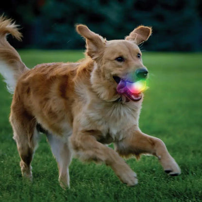 Nite Ize Glowstreak Wild LED Ball Dog Toy Motion Activated Rainbow Spectrum LED For Outdoor Fetch For Active Dogs by Nite Ize