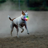 Nite Ize Glowstreak Wild LED Ball Dog Toy Motion Activated Rainbow Spectrum LED For Outdoor Fetch For Active Dogs by Nite Ize