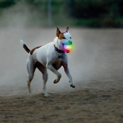 Nite Ize Glowstreak Wild LED Ball Dog Toy Motion Activated Rainbow Spectrum LED For Outdoor Fetch For Active Dogs by Nite Ize