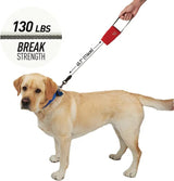 Nite Ize RadDog Retractable Leash RRPLL-10-R3 by Nite Ize