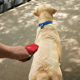 Nite Ize RadDog Retractable Leash RRPLL-10-R3 by Nite Ize