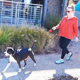 Nite Ize RadDog Retractable Leash RRPLL-10-R3 by Nite Ize
