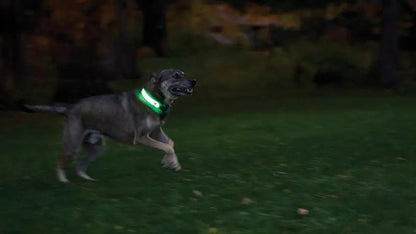 Nite Ize Nitedog LED Collar Cover NDCCR-09-R3 by Nite Ize