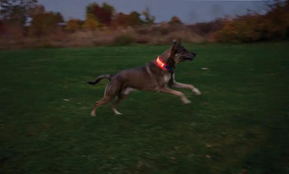 Nite Ize Nitedog LED Collar Cover NDCCR-09-R3 by Nite Ize