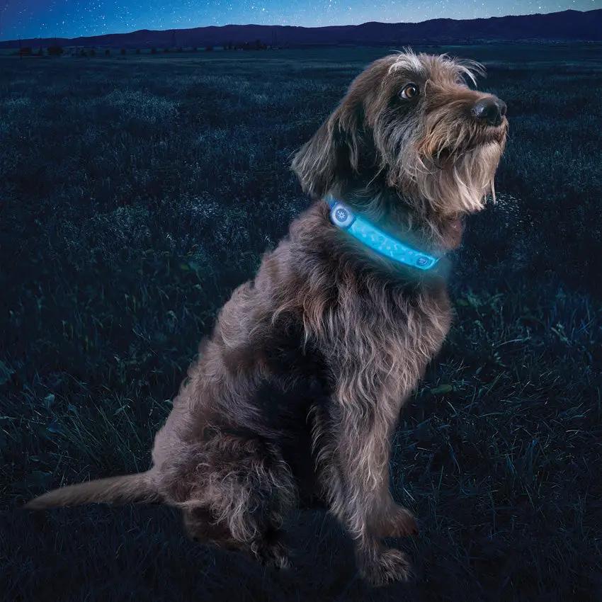 Nite Ize Nitedog LED Collar Cover NDCCR-09-R3 by Nite Ize