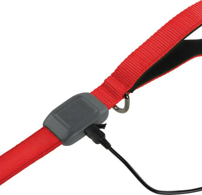 Nite Ize Nitedog Rechargeable Leash NDLR-10-R3 by Nite Ize