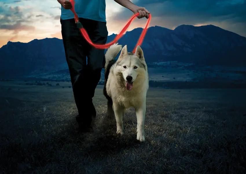 Nite Ize Nitedog Rechargeable Leash NDLR-10-R3 by Nite Ize