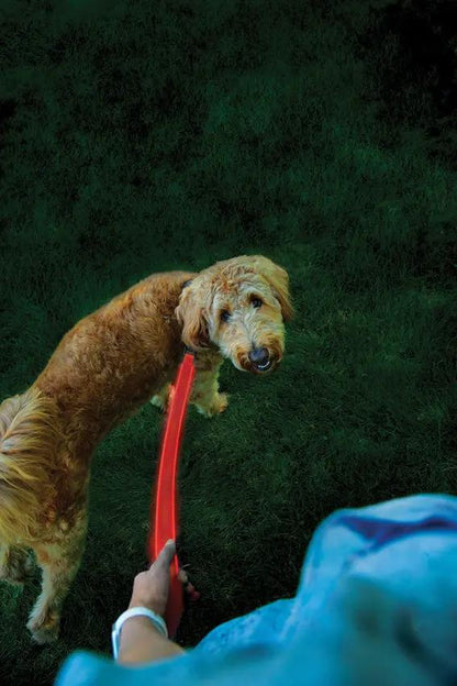 Nite Ize Nitedog Rechargeable Leash NDLR-10-R3 by Nite Ize