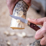 No Box Tools Whittler - Satin Finish 5Cr15MoV Stainless Clip And Sheepsfoot Blades, Brown Wood Handle by No Box Tools