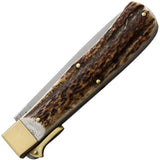 OTTER-Messer Hunting Pocket Knife - Stainless 4 Inch Satin Blade Buck Horn Handle Brass Bolsters For Hunters by OTTER-Messer