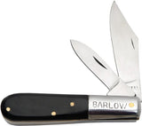Pakistan Barlow Horn 202823 by Pakistan