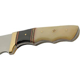 Pakistan Skinner Buffalo Bone Compact Field Knife With Satin Stainless Blade Full Tang For Outdoorsmen by Pakistan