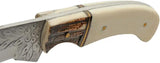Rite Edge Ivy Skinner Stag - Natural Bone Handle 4.5in Satin Blade Full Tang With Sheath by Rite Edge