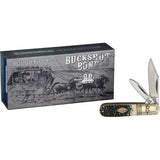 Rough Rider Barlow Buckshot Bone Knife - Buckshot Bone Handle With Dual Stainless Clip And Pen Blades. by Rough Rider
