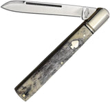 Rough Rider Black Appaloosa Doctor Knife 3.75in Stainless Spear Blade Bone Handle Boxed For Collectors by Rough Rider