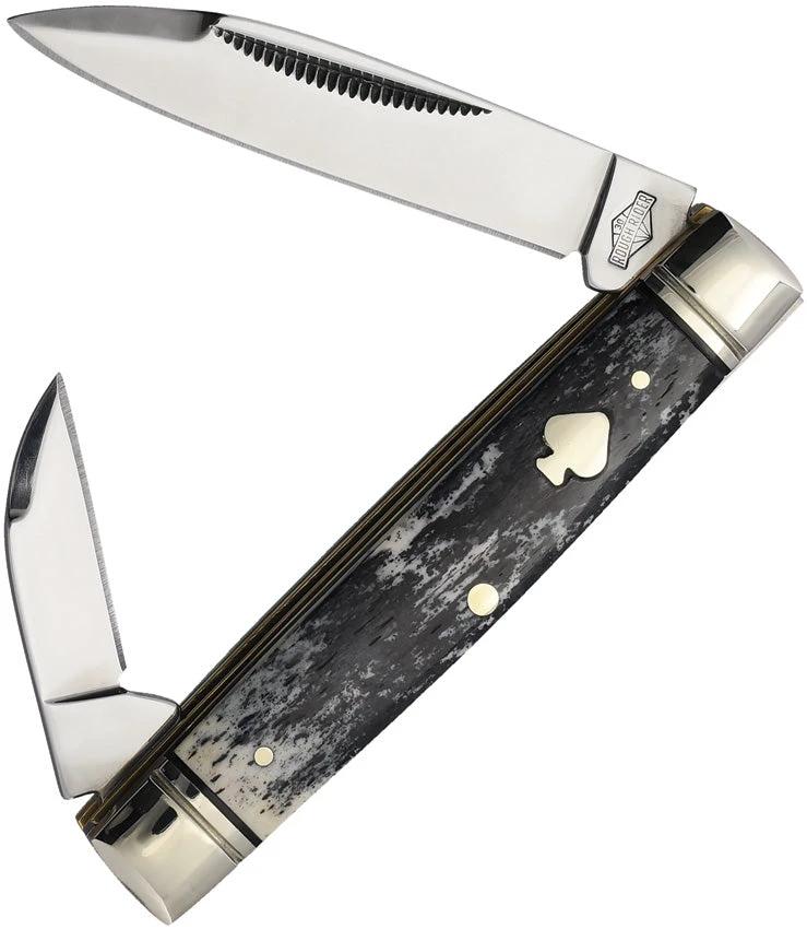 Rough Rider Black Appaloosa Capital Intern RR2489 KB2100 by Rough Rider