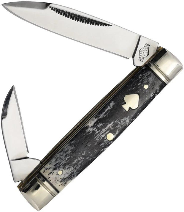 Rough Rider Black Appaloosa Capital Intern RR2489 KB2100 by Rough Rider