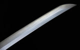CAS Hanwei Practical XL Katana For Martial Artists Longer Blade With Realistic Weight And Balance by CAS Hanwei