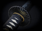 Cas Hanwei Practical Plus XL Katana Durable Training Sword For Serious Martial Artists And Kata Practice by CAS Hanwei
