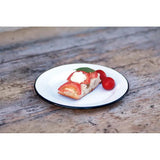 Swiss Advance Coelo Enamel Plate 51387 - Scratch Resistant Enamel Coated Steel Food Safe Weather Resistant by Swiss Advance