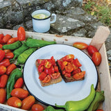 Swiss Advance Coelo Enamel Plate 51387 - Scratch Resistant Enamel Coated Steel Food Safe Weather Resistant by Swiss Advance