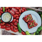 Swiss Advance Coelo Enamel Plate 51387 - Scratch Resistant Enamel Coated Steel Food Safe Weather Resistant by Swiss Advance