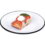 Swiss Advance Coelo Enamel Plate 51387 - Scratch Resistant Enamel Coated Steel Food Safe Weather Resistant by Swiss Advance