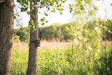 Stealth Cam Fusion Max Cellular Trail Camera - 36MP Photo, 720P Video, Quick Scan QR Setup by Stealth Cam