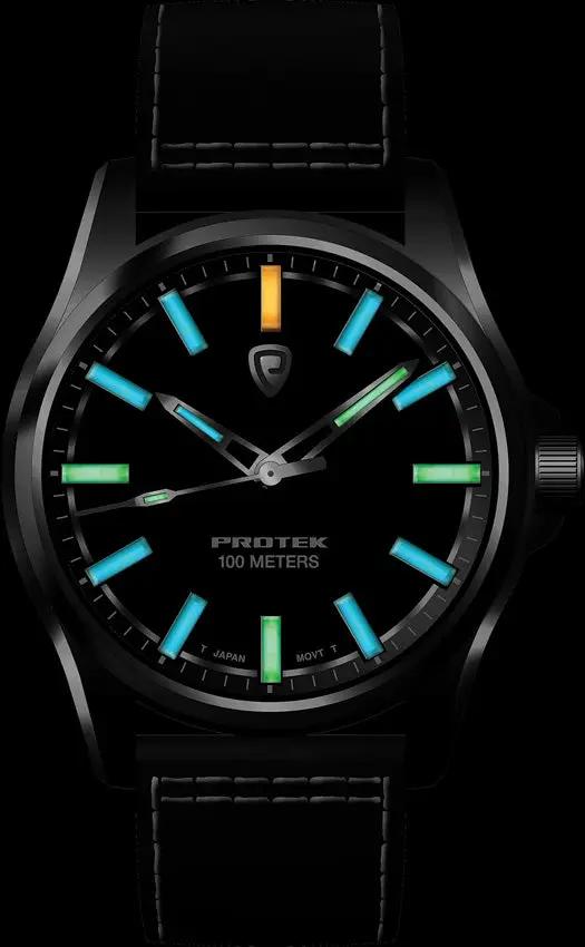 ProTek ProTek Field Watch 3002 Series PT3002 by ProTek