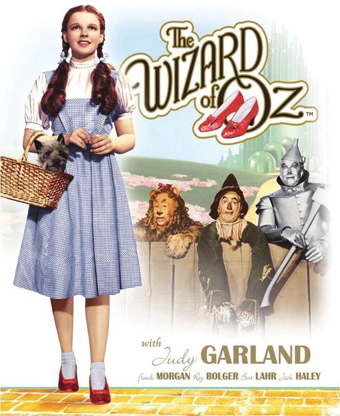 Tin Signs Dorothy & Toto Tin Sign 1560 by Tin Signs