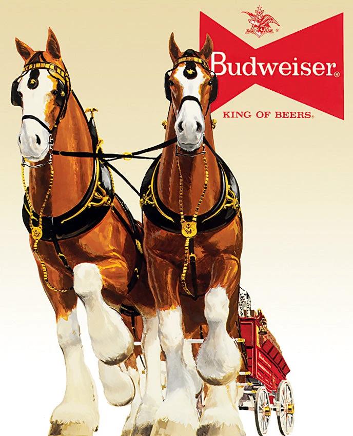 Tin Signs Budweiser Clydesdale Team 1631 by Tin Signs