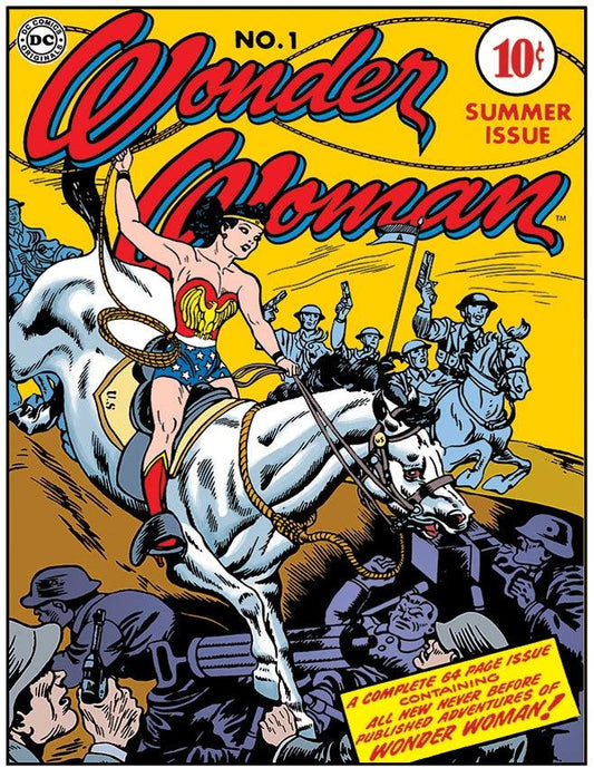 Tin Signs Wonder Woman #1 Cover 2086 by Tin Signs