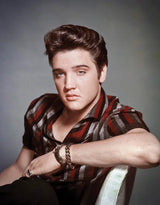 Tin Signs Elvis 2433 by Tin Signs
