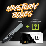 We Knife Baloo Mystery Box Folding Knife - CPM-20CV Blade With Two Tone Finish And Black Titanium Handle by We Knife Co Ltd